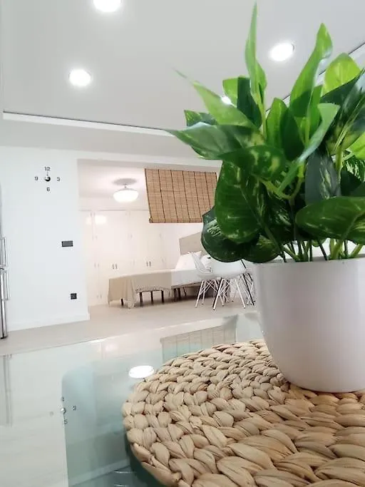 Apartamento Loft Alve 코르도바 아파트